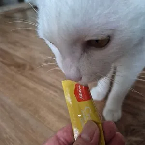 베스트 후기 이미지