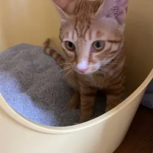 베스트 후기 이미지