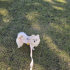 베스트 후기 이미지