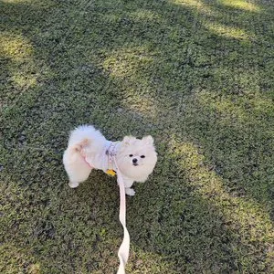 베스트 후기 이미지