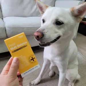 베스트 후기 이미지