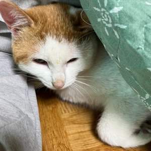 베스트 후기 이미지