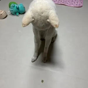 베스트 후기 이미지