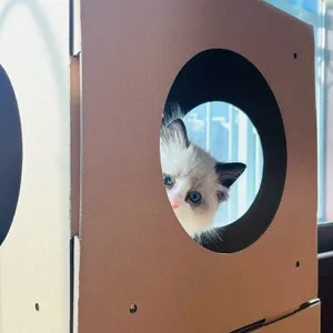 베스트 후기 이미지