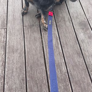 베스트 후기 이미지