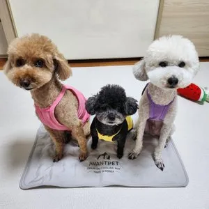 베스트 후기 이미지