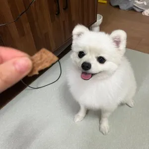 베스트 후기 이미지