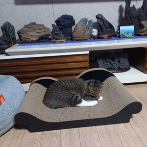 베스트 후기 이미지