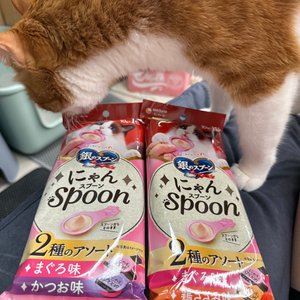 베스트 후기 이미지