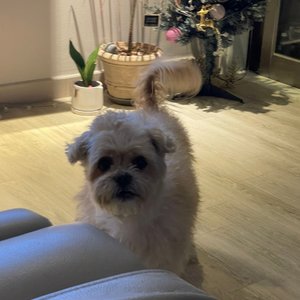 베스트 후기 이미지
