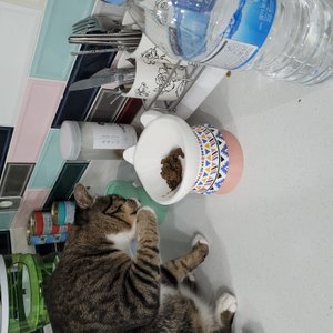 베스트 후기 이미지