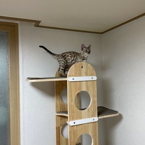 베스트 후기 이미지