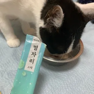 베스트 후기 이미지