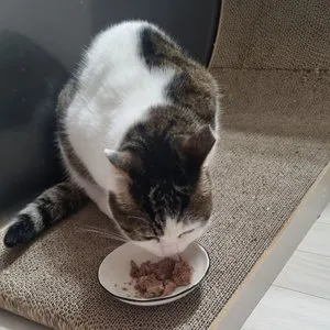 베스트 후기 이미지