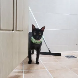 베스트 후기 이미지