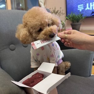 베스트 후기 이미지