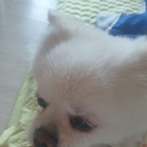 베스트 후기 이미지