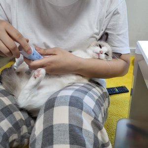 베스트 후기 이미지