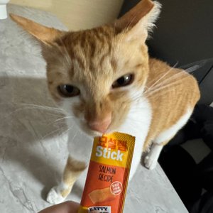 베스트 후기 이미지