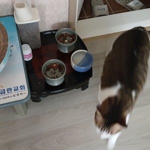 베스트 후기 이미지
