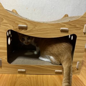 베스트 후기 이미지