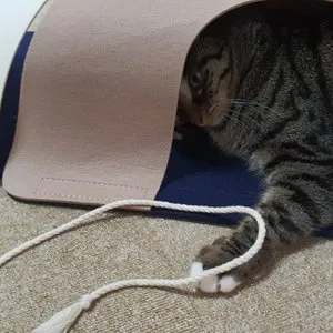 베스트 후기 이미지