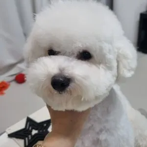 베스트 후기 이미지