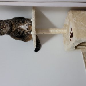 베스트 후기 이미지