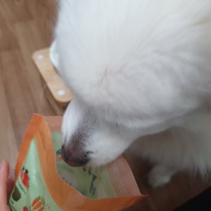 베스트 후기 이미지