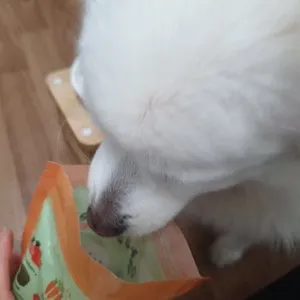 베스트 후기 이미지