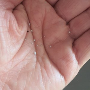 베스트 후기 이미지