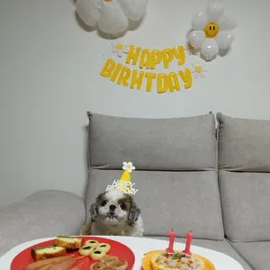 베스트 후기 이미지