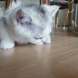 베스트 후기 이미지