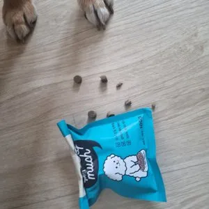 베스트 후기 이미지