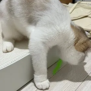 베스트 후기 이미지