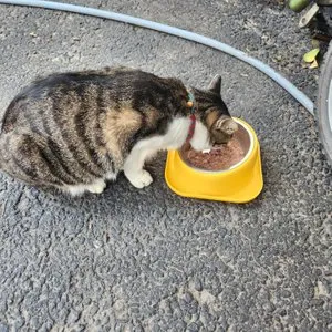 베스트 후기 이미지