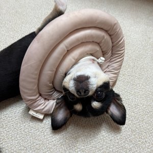 베스트 후기 이미지