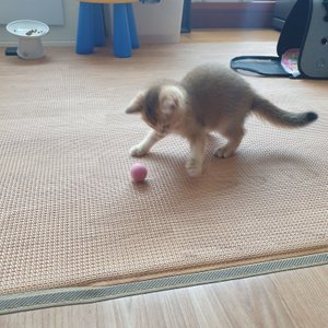 베스트 후기 이미지