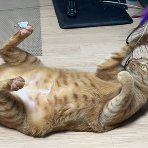 베스트 후기 이미지