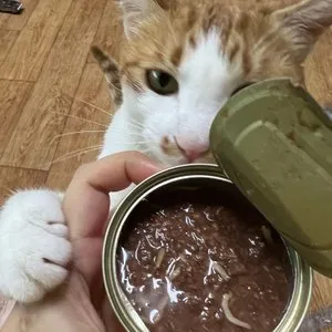 베스트 후기 이미지