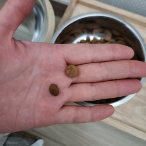 베스트 후기 이미지