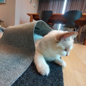 베스트 후기 이미지