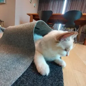 베스트 후기 이미지