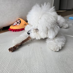 베스트 후기 이미지
