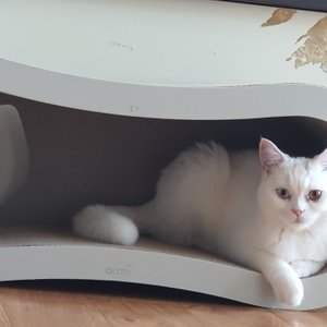 베스트 후기 이미지