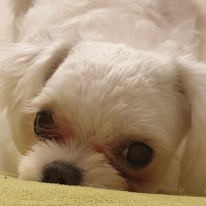 베스트 후기 이미지