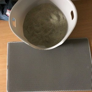 샌드바이블 포레스트향 6kg  베스트 후기 이미지