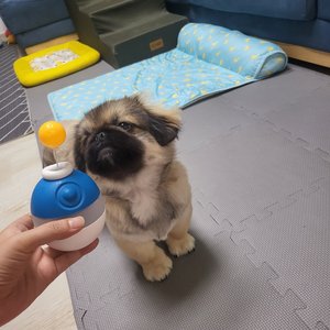 베스트 후기 이미지