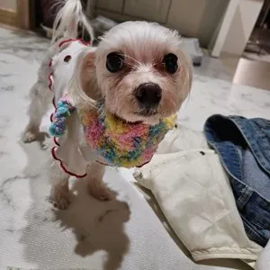 베스트 후기 이미지