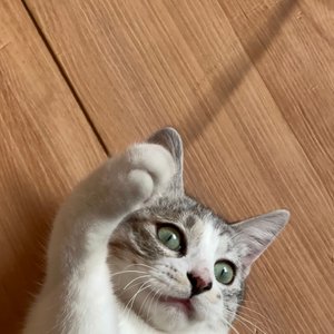 베스트 후기 이미지